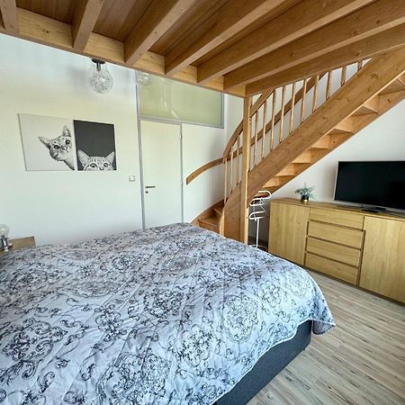 Miky Apartman Klinovec Garden Loučná pod Klínovcem Zewnętrze zdjęcie